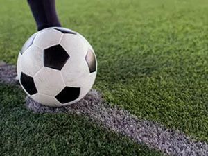 Artificial Grass Maintenance, Deerfield Beach, FL