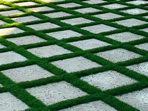 Grass-Pavers, Deerfield Beach, FL